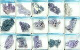 Flat: Grape Agate From Indonesia - Pieces #79153-2